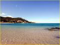 Corse